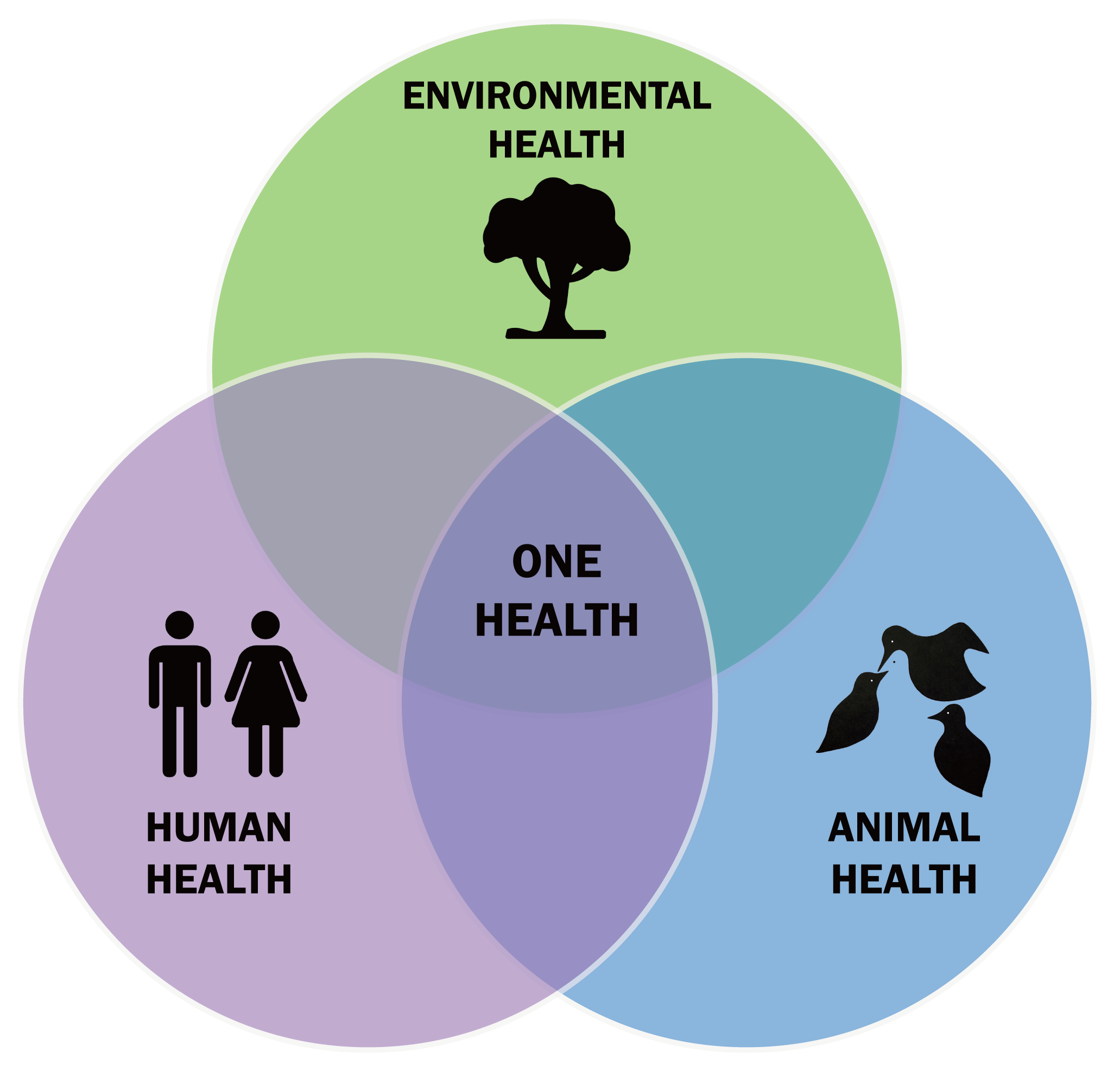 One-Health-Triad-en