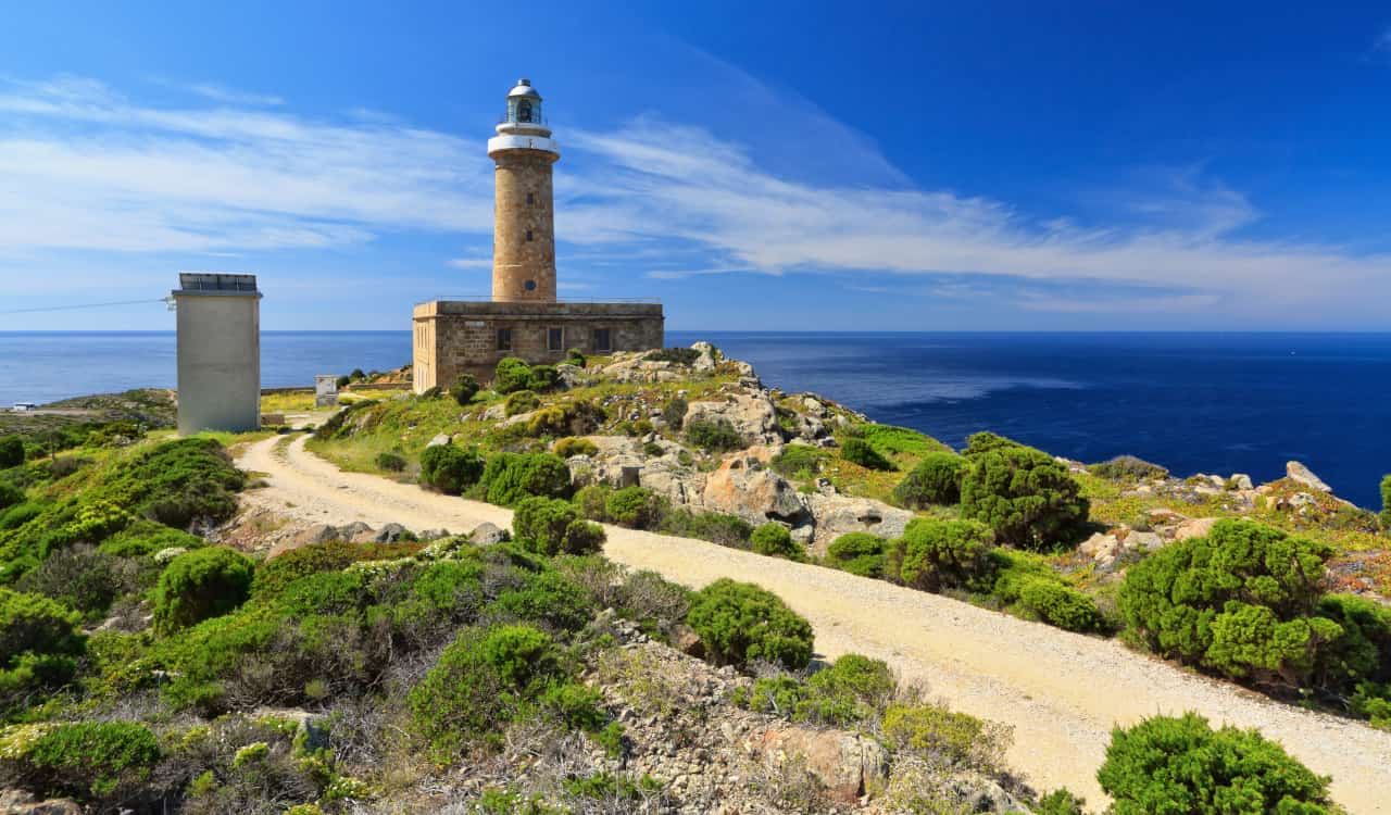 capo_sandalo_isola_san_pietro